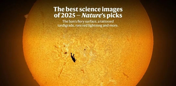 Nature2025年度最佳科学图片已公布